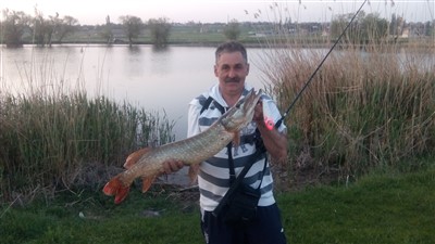 Аватара пользователя