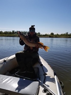 Аватара пользователя