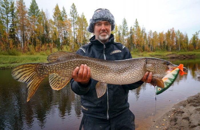 61ф(61!!!).jpg