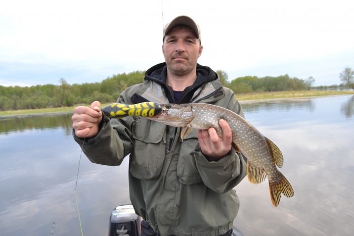 DSC_3944.JPG (1.51 МБ) 24653 просмотра DSC_3944.JPG