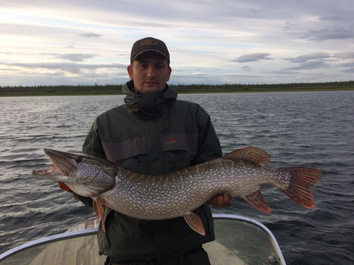 IMG-20180901-WA0194.jpg
