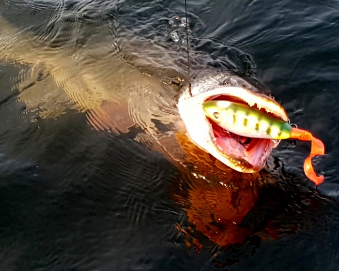 20180902_172839.jpg