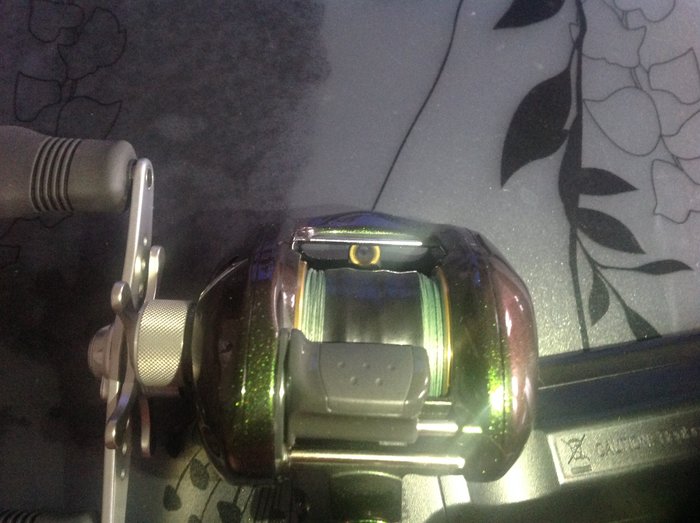 IMG_2138.JPG (1.18 МБ) 26520 просмотров IMG_2138.JPG