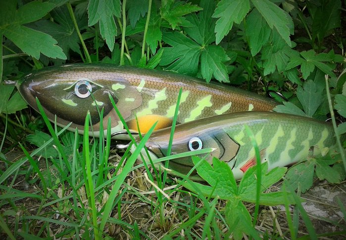 20160615_182703.jpg