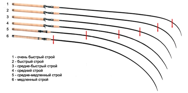 stroy.jpg.pagespeed.ce.85vqNdoCYN.jpg