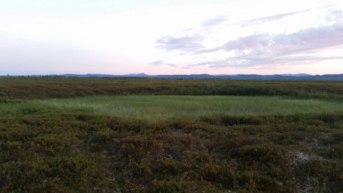 IMG-20160709-WA0000.jpg