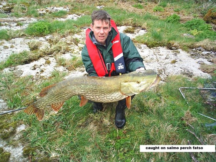 Neal's Pike.jpg