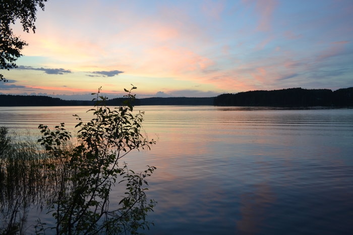 DSC_1448.JPG