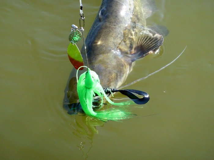 Esox Custom (3).JPG