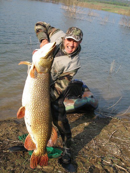 huge-52lb-pike.jpg