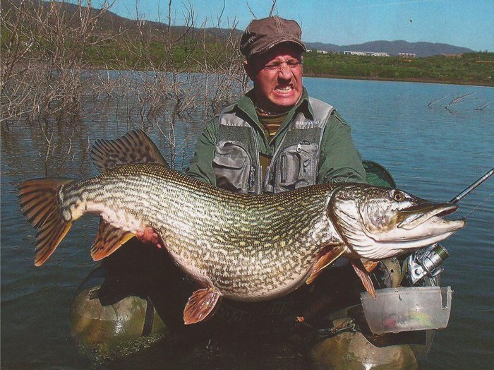 24-kg-pike.jpg