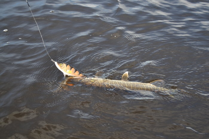 DSC_3361.JPG